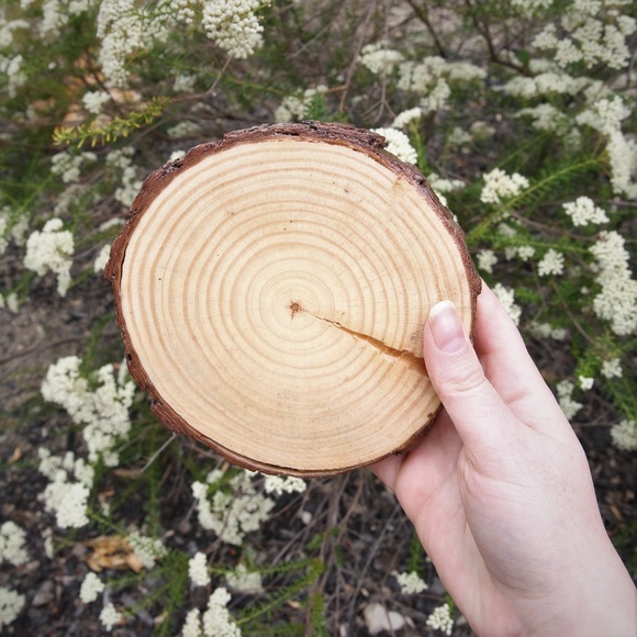 Feminine Essence Flower Crystal Grid Mosaic Wood - Picture 3 of 7